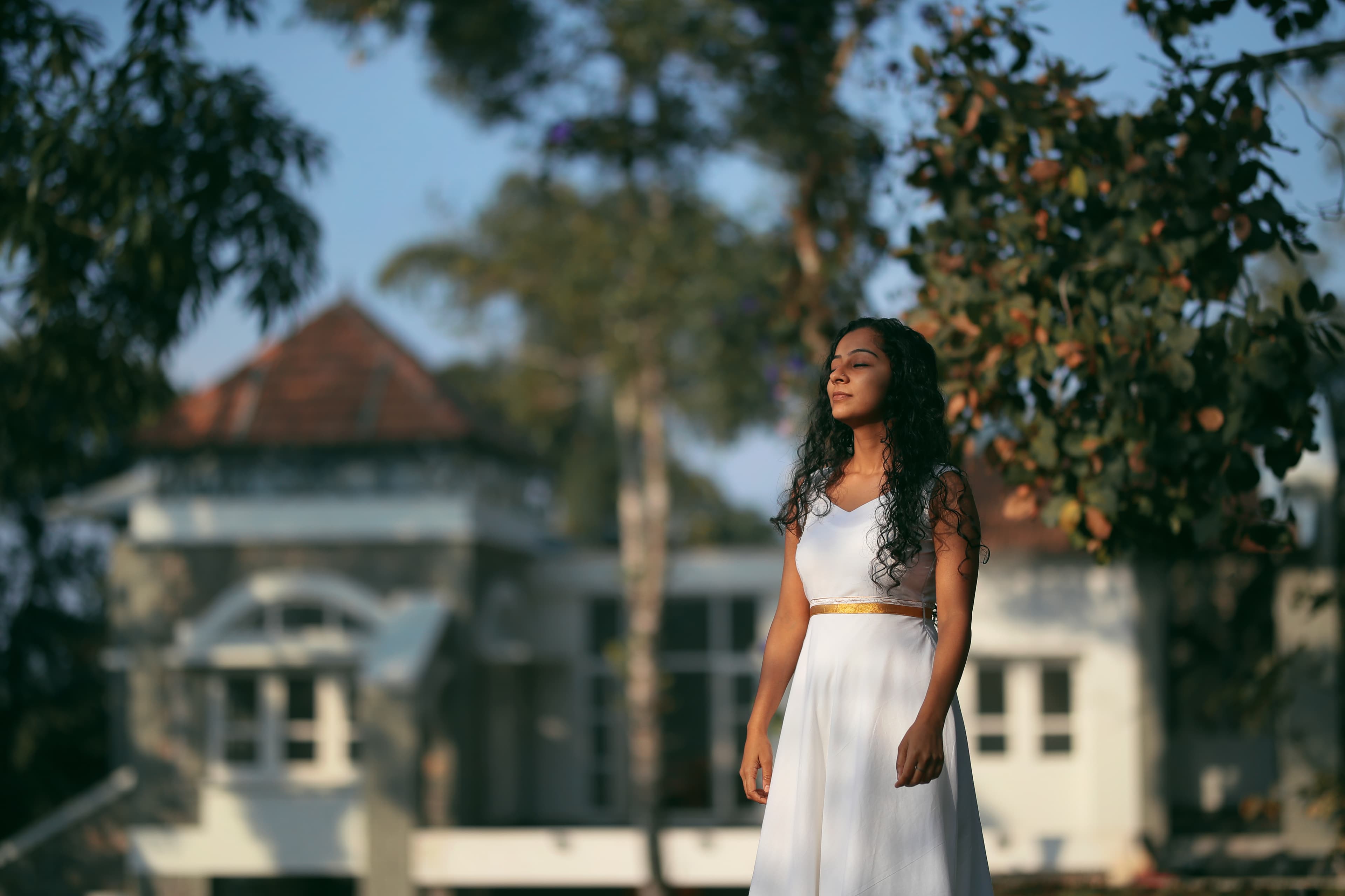 A featured image for this section