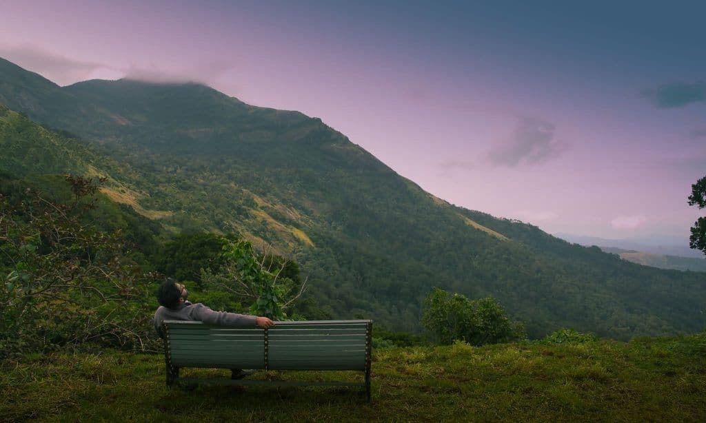 A featured image for this section