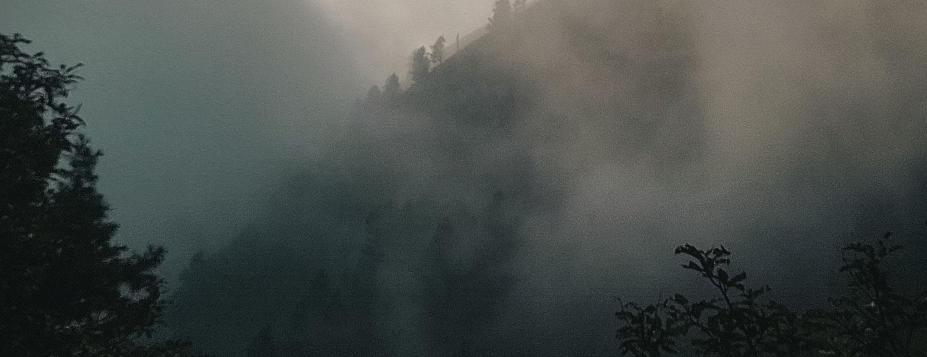 A featured image for this section