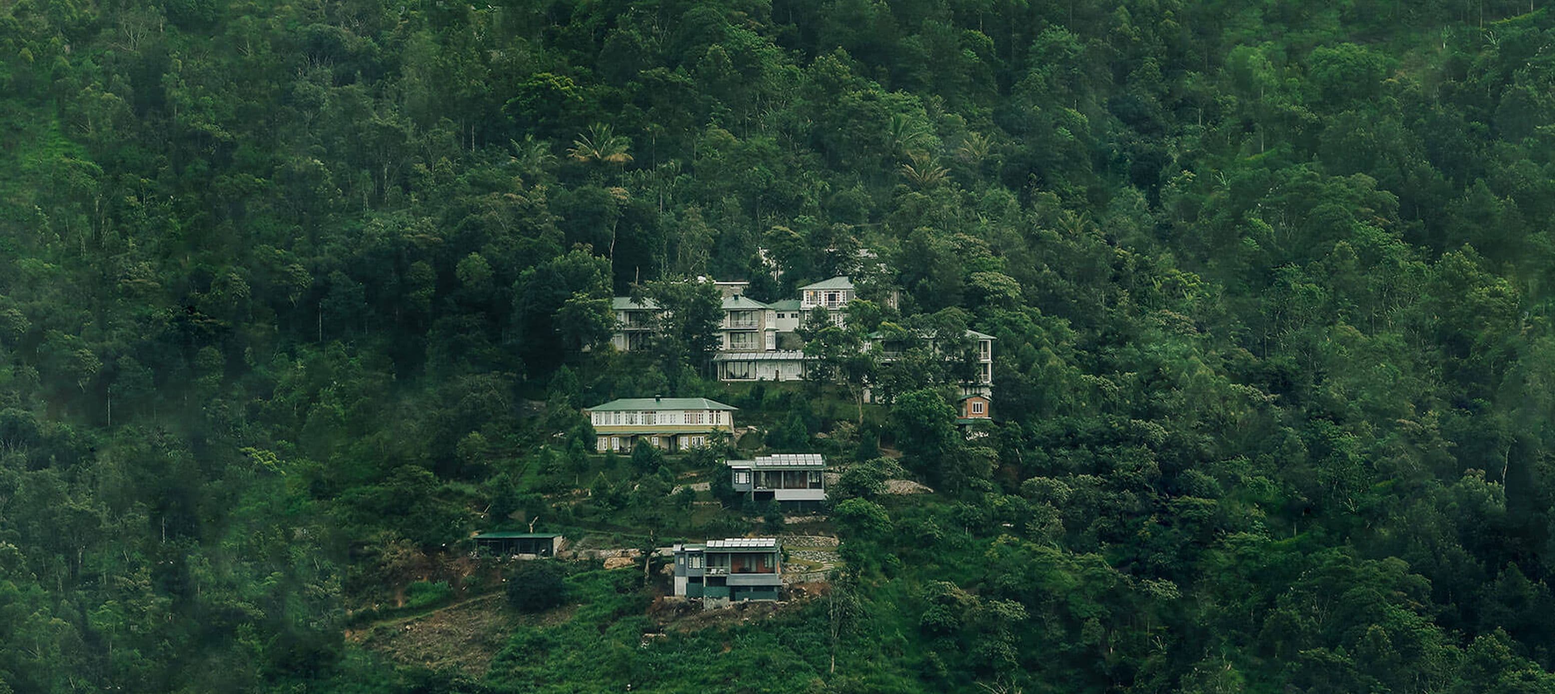 A featured image for this section