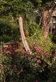 A featured image for this section