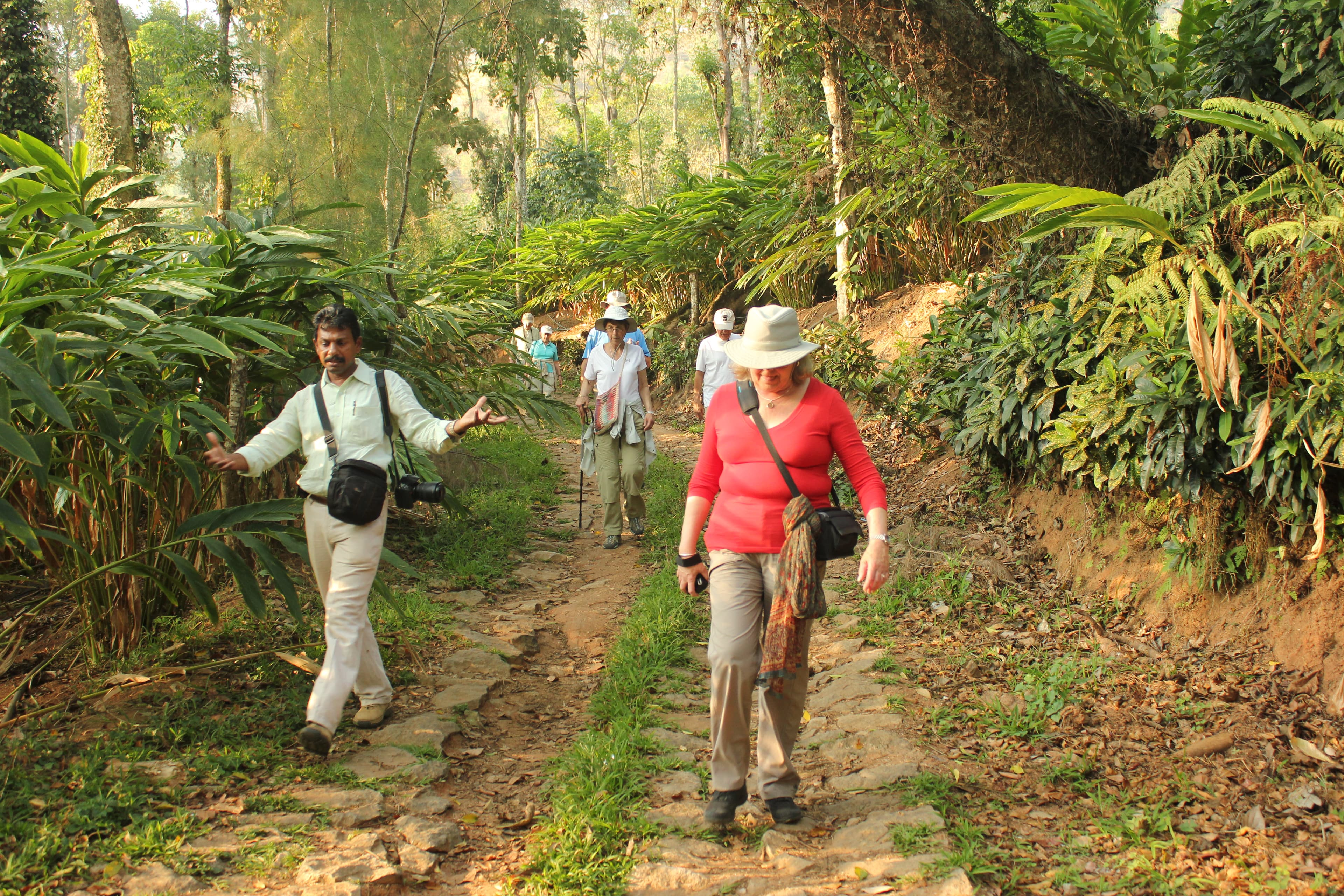 A featured image for this section