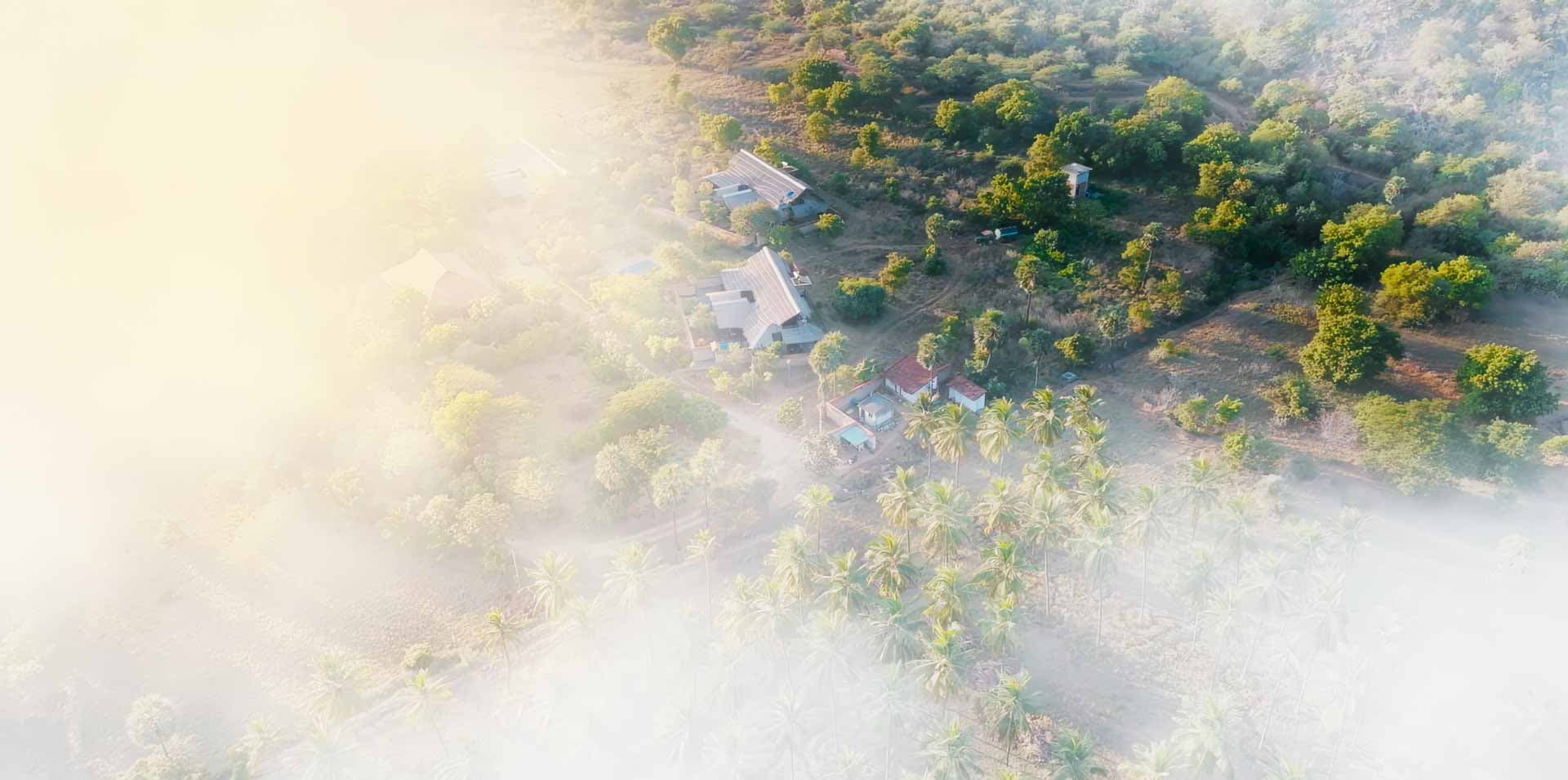 A featured image for this section