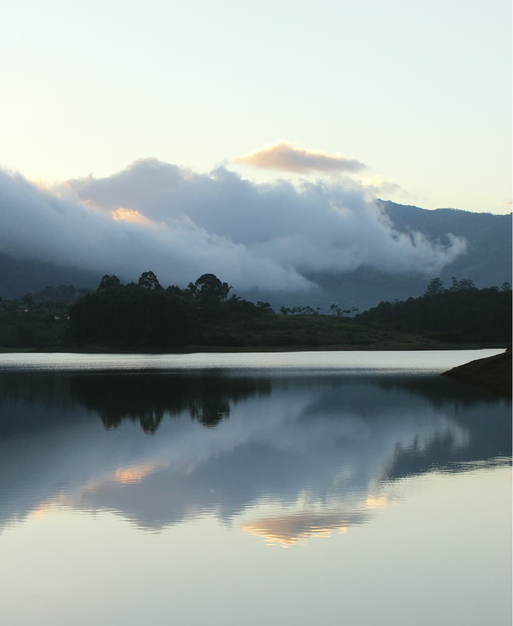 A featured image for this section