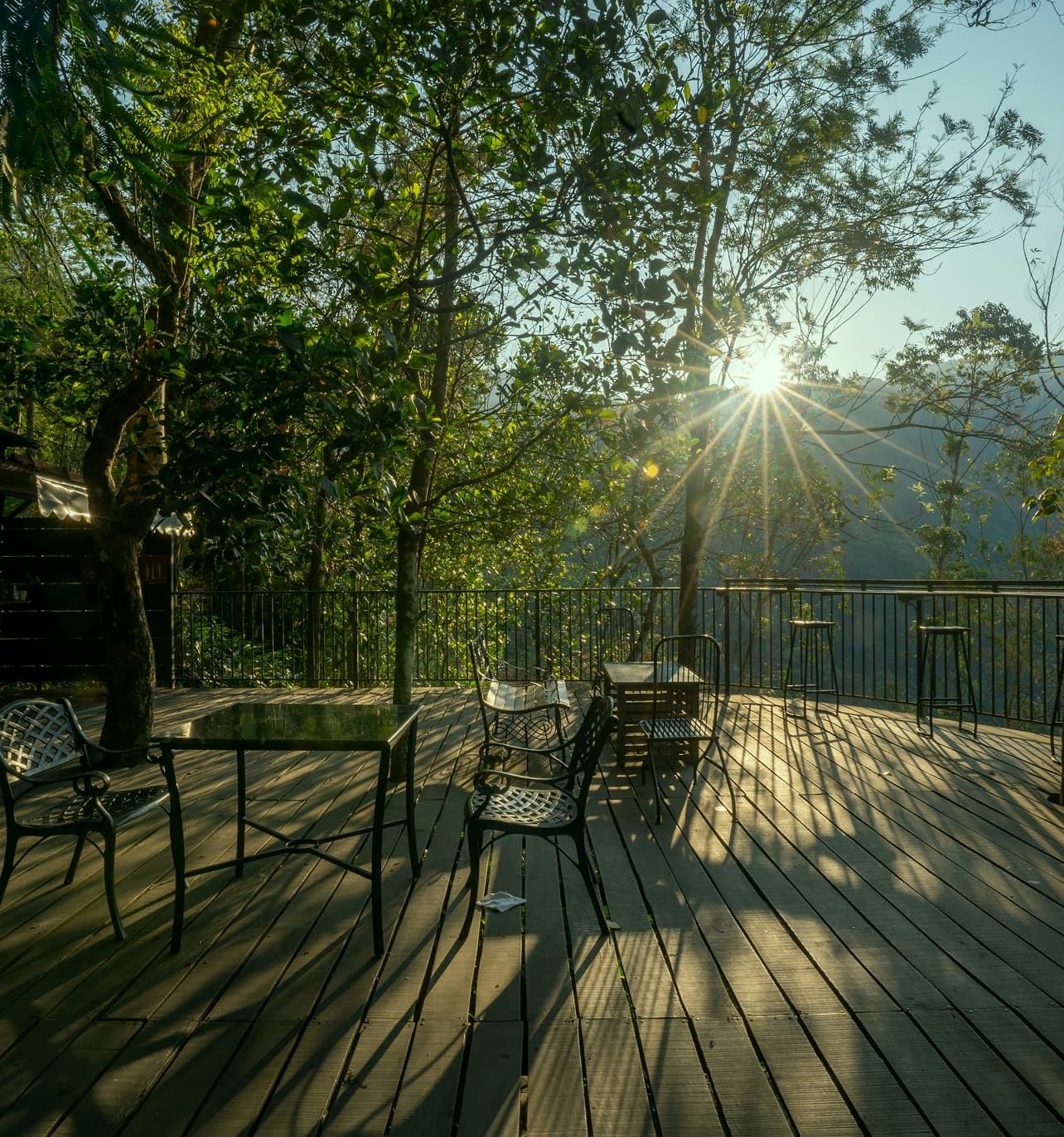 A featured image for this section