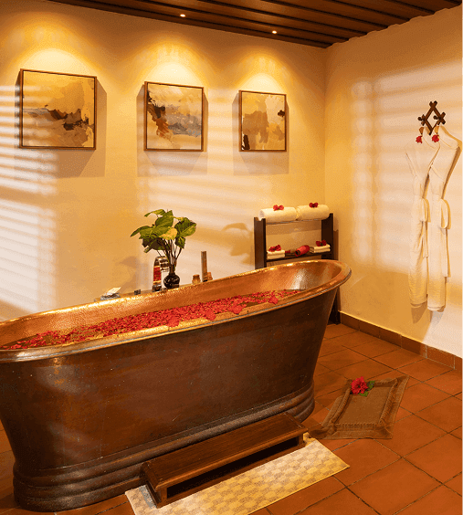 A featured image for this section