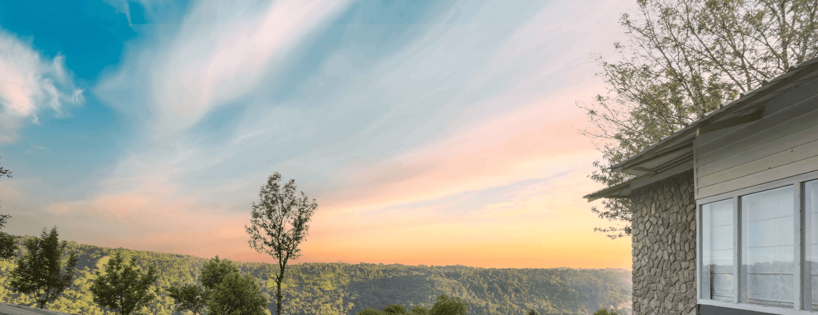 A featured image for this section