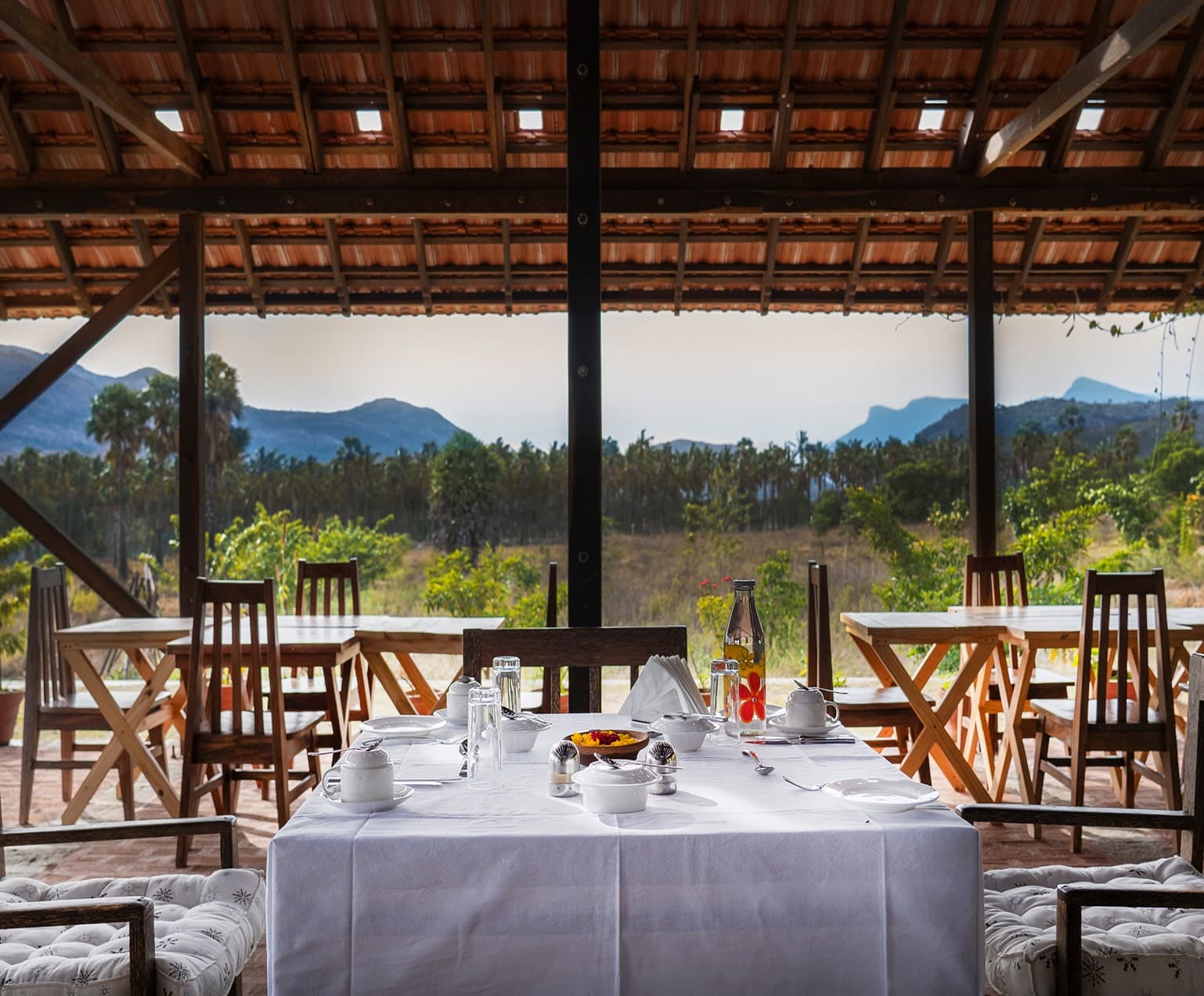 A featured image for this section