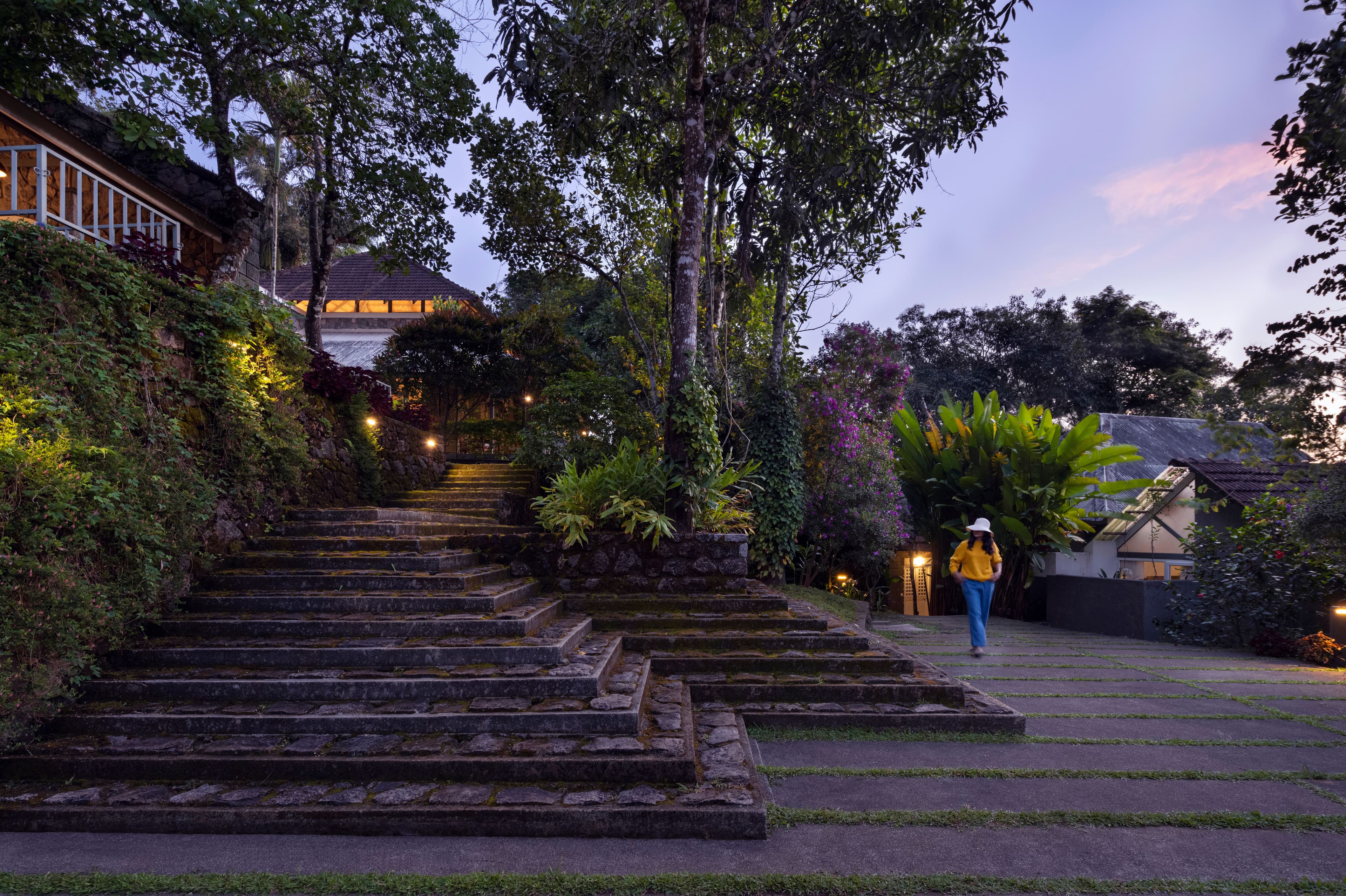 A featured image for this section