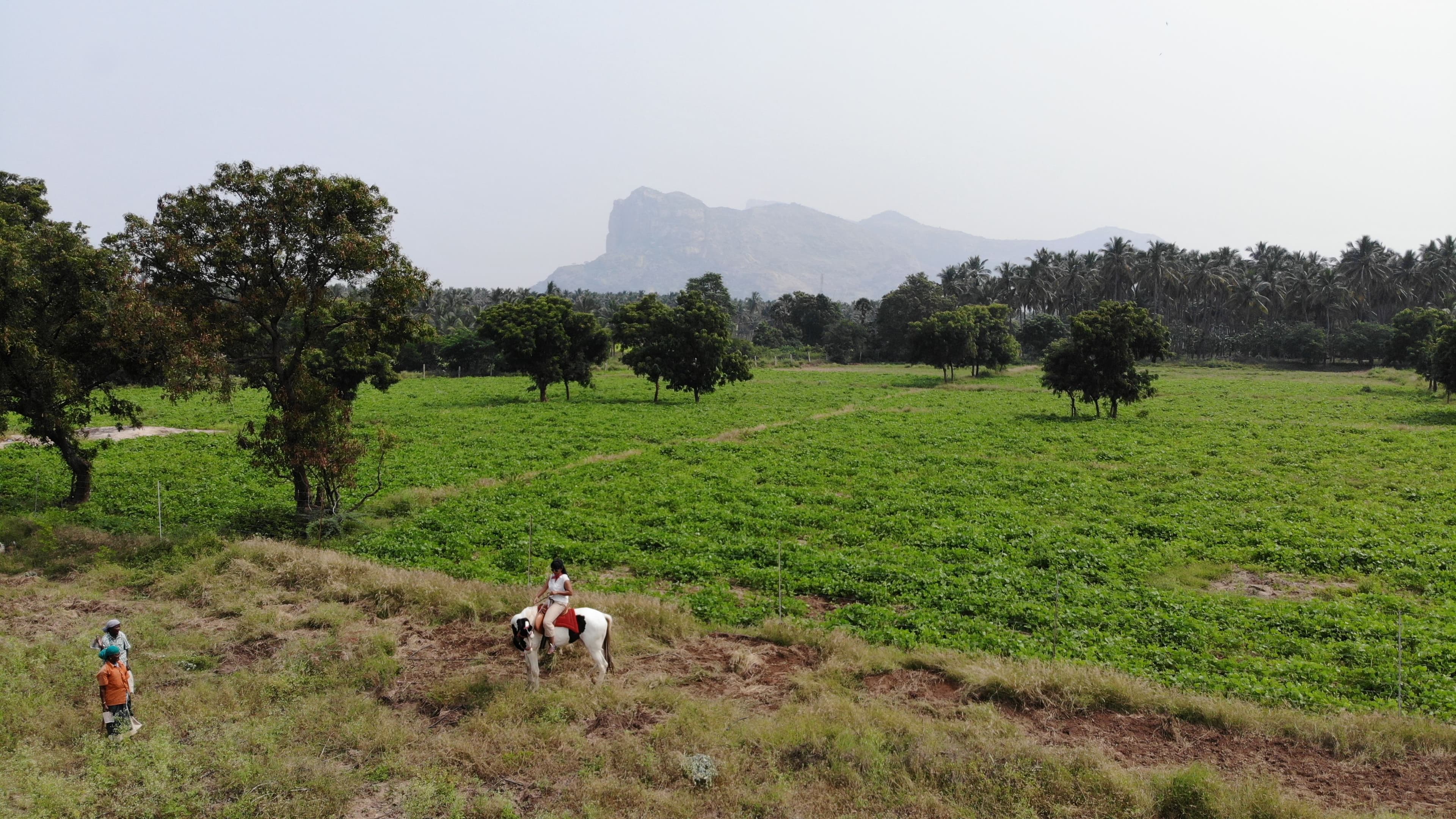 A featured image for this section