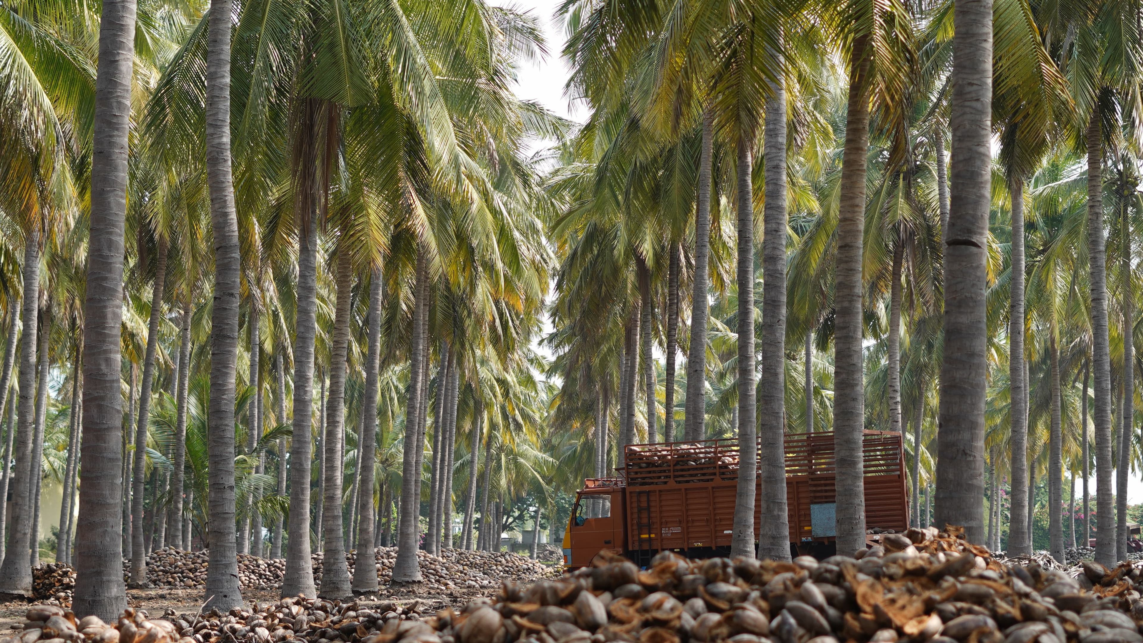 A featured image for this section