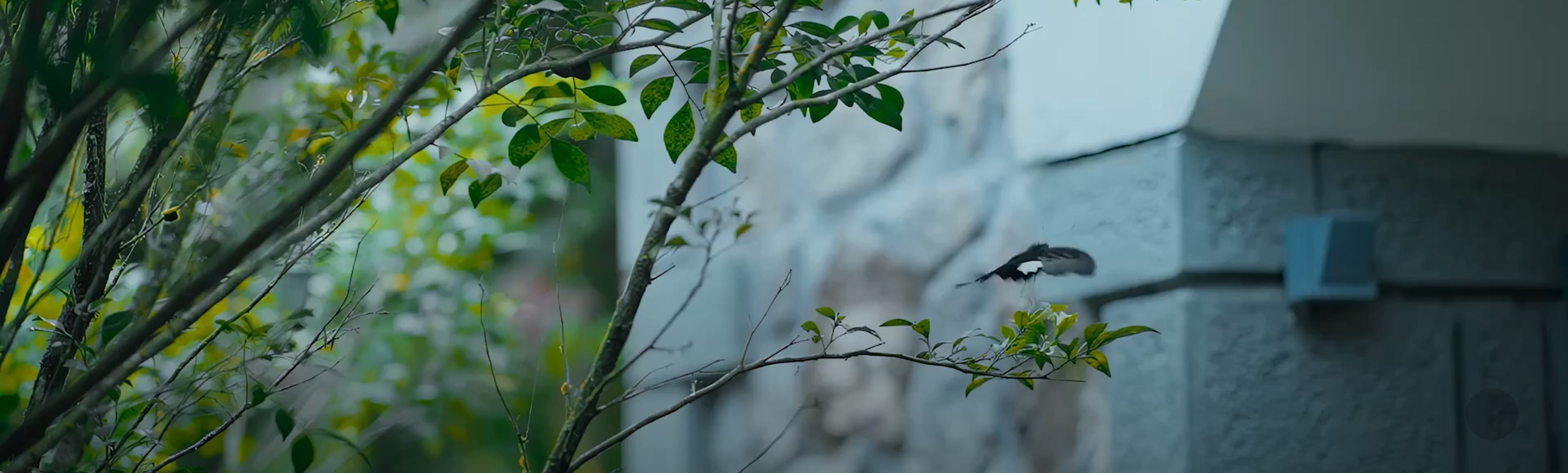 A featured image for this section