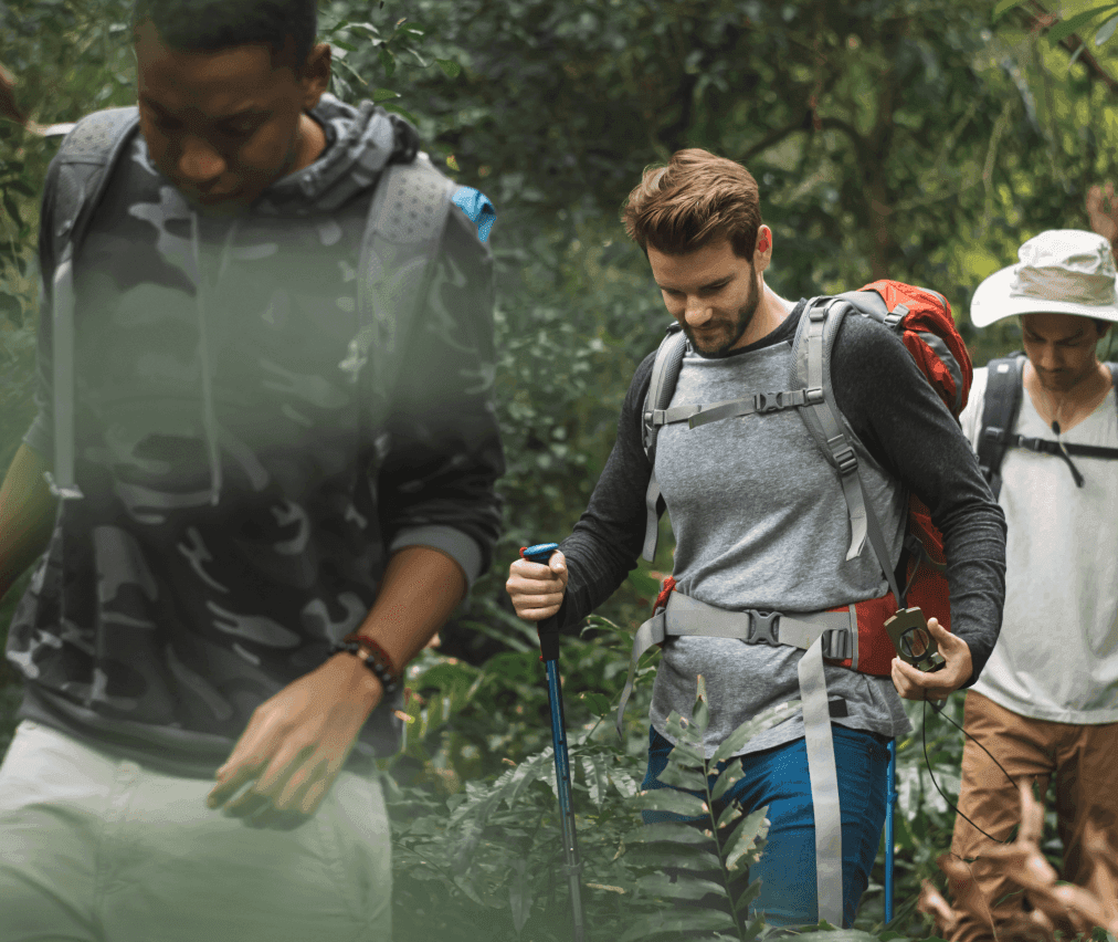 A featured image for this section