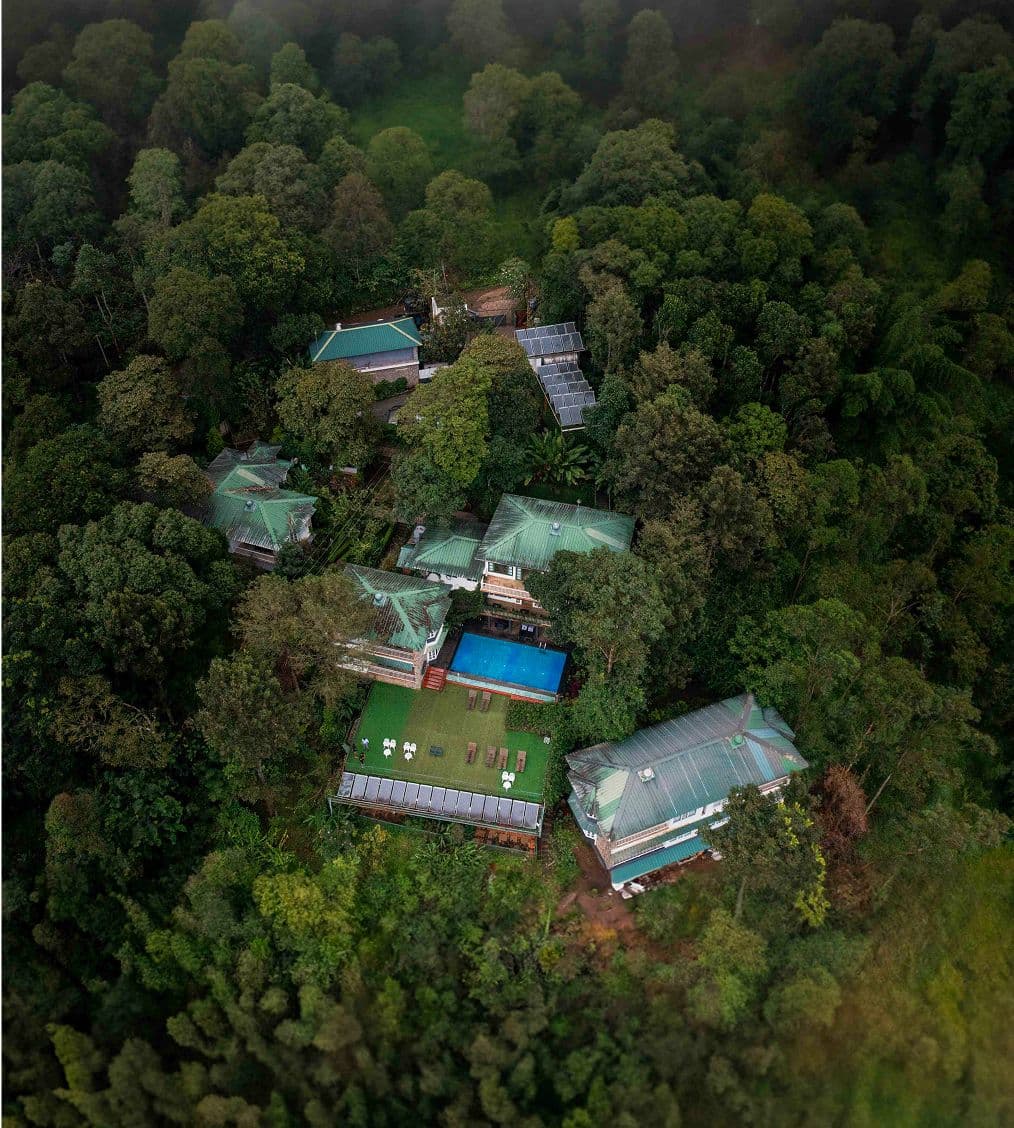 A featured image for this section