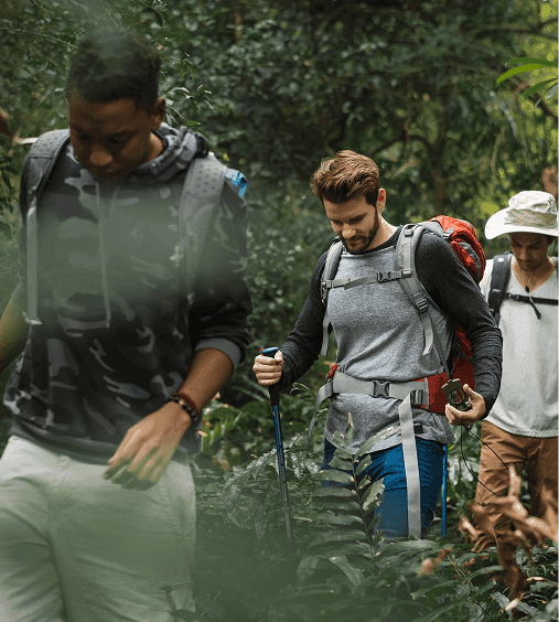 A featured image for this section