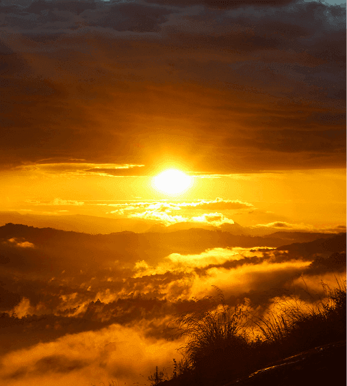 A featured image for this section