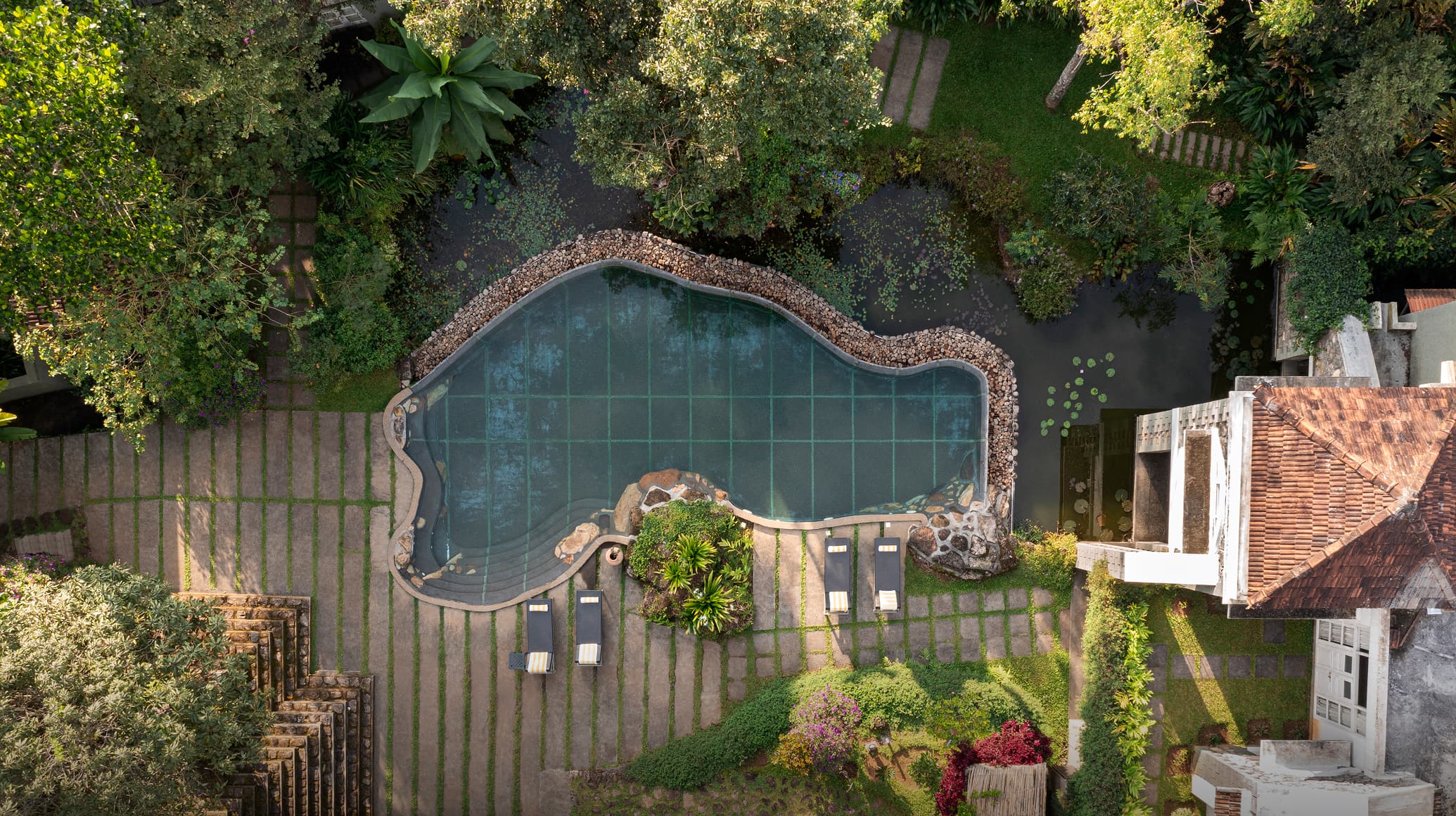 A featured image for this section