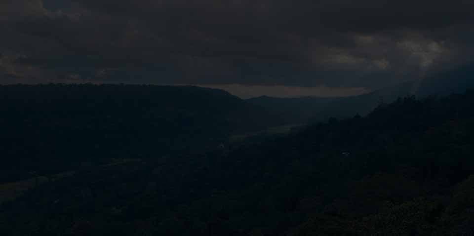 A featured image for this section