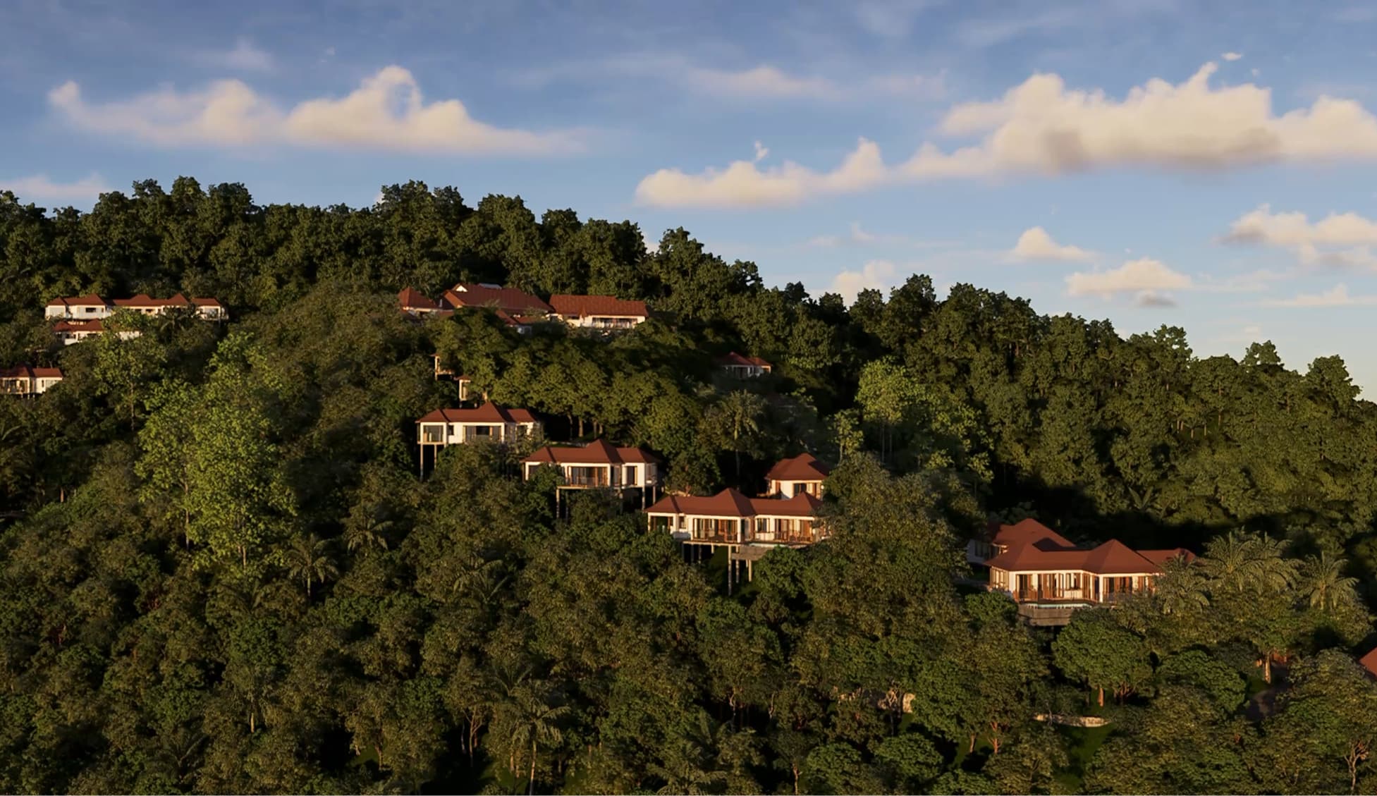 A featured image for this section