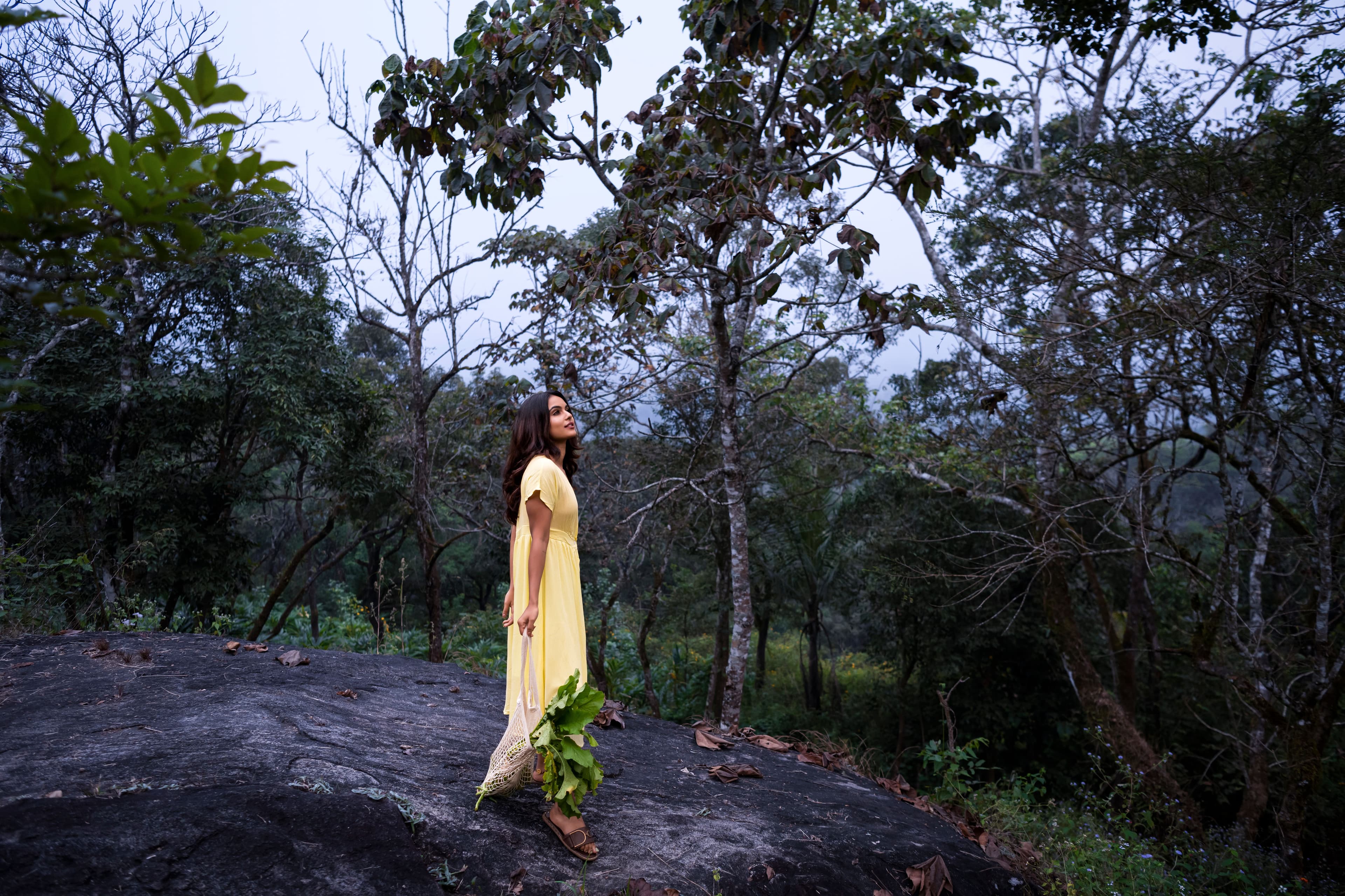 A featured image for this section