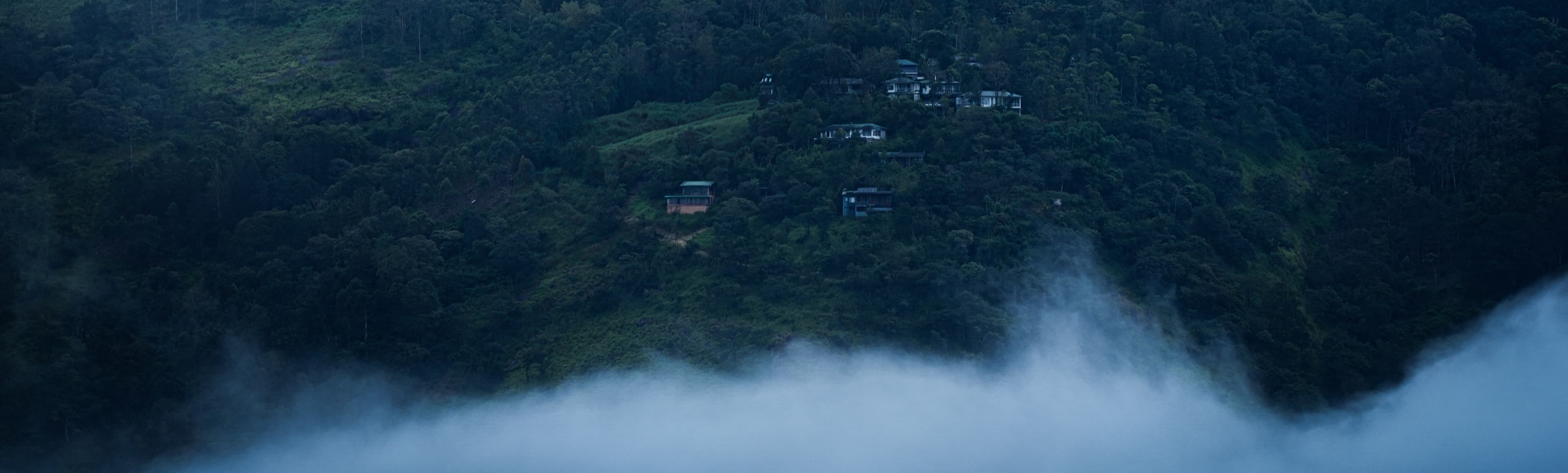 A featured image for this section