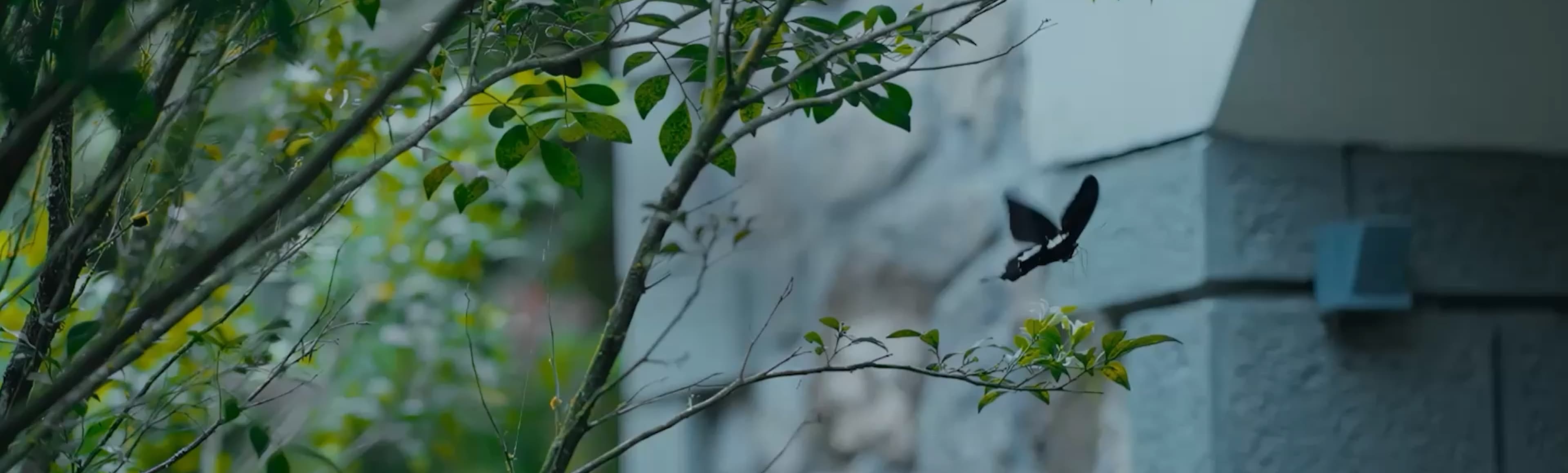 A featured image for this section